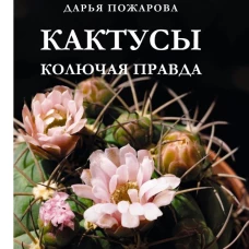 Кактусы. Колючая правда