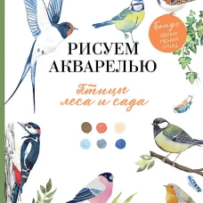Рисуем акварелью: птицы леса и сада