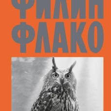 Филин Флако: История самой знаменитой птицы в мире