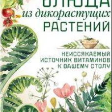 Блюда из дикорастущих растений. Неиссякаемый источник витаминов к вашему столу