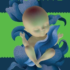 Лягушки