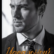 Идеальный проект