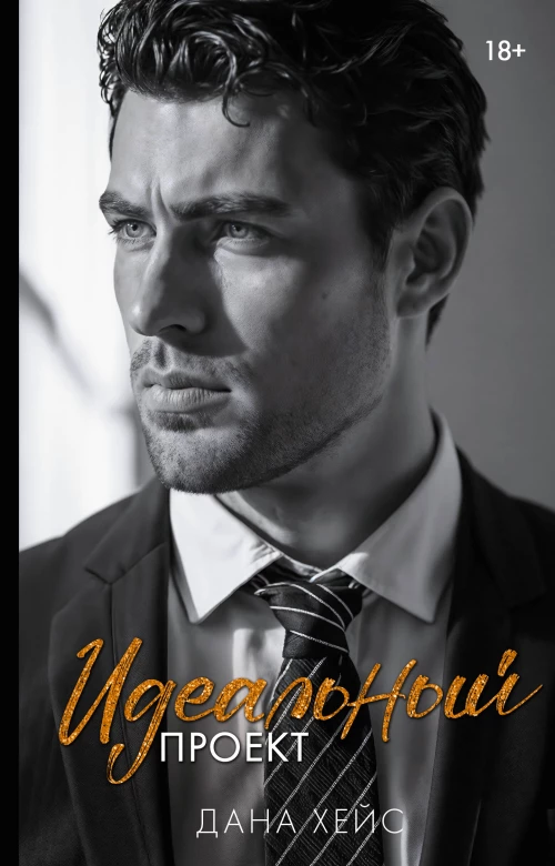Идеальный проект