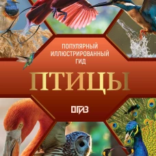 Птицы. Иллюстрированный гид