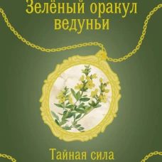 Зеленый оракул ведуньи. Тайная сила природной магии.&nbsp;51 карта +&nbsp;QR-код с руководством