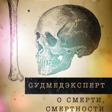 Судмедэксперт о смерти смертности и раскрытии преступлений. Всё что осталось