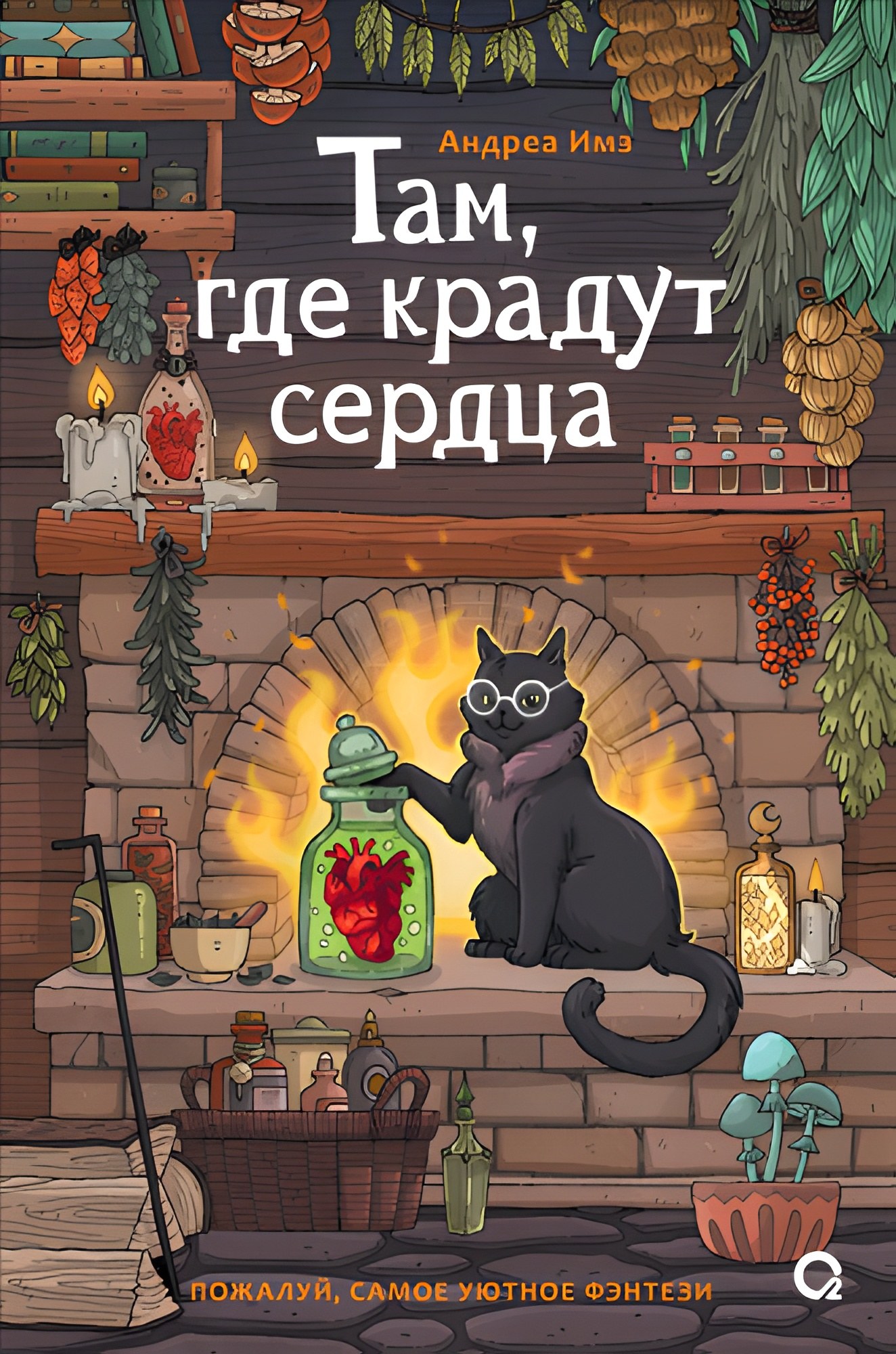 Андреа Имз. Там где крадут сердца