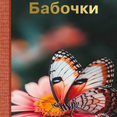 Бабочки