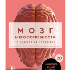 Мозг и его потребности. 2.0 от питания до признания