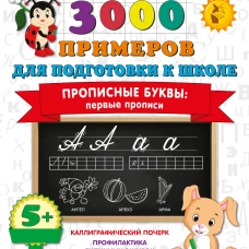 Прописные буквы: первые прописи