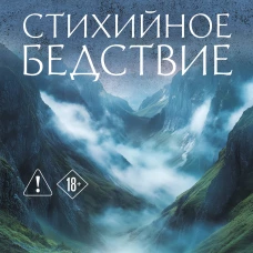 Стихийное бедствие