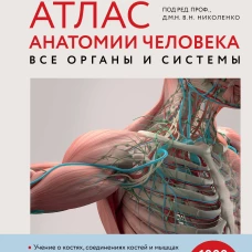 Атлас анатомии человека. Все органы и системы