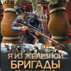 Я из Железной Бригады. Гражданская война