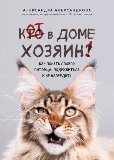 Кот в доме хозяин! Как понять своего питомца подружиться и не навредить (новое оформление)