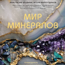 Мир минералов. Путеводитель по минералам и горным породам из которых состоит Земля и построена наша цивилизация