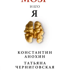 Мозг и его &ldquo;Я&rdquo;. Кто мы? Откуда мы? Куда мы идем?