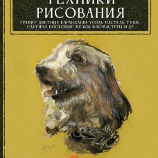 Техники рисования. Графит цветные карандаши уголь пастель тушь сангина восковые мелки фломастеры и др.
