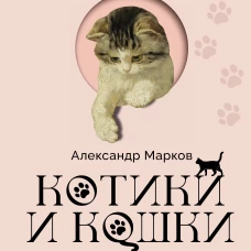 Котики и кошки в живописи