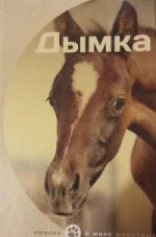  Дымка 