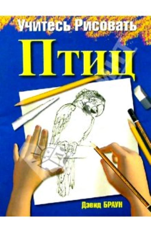 Учитесь рисовать птиц