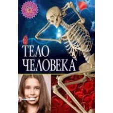 Тело человека