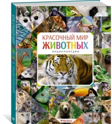 Красочный мир животных. Энциклопедия