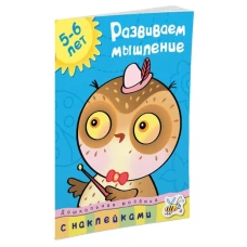 ДМ.5-6 лет.Развиваем мышление