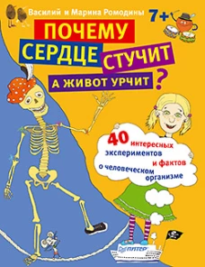 Почему сердце стучит,а живот урчит?