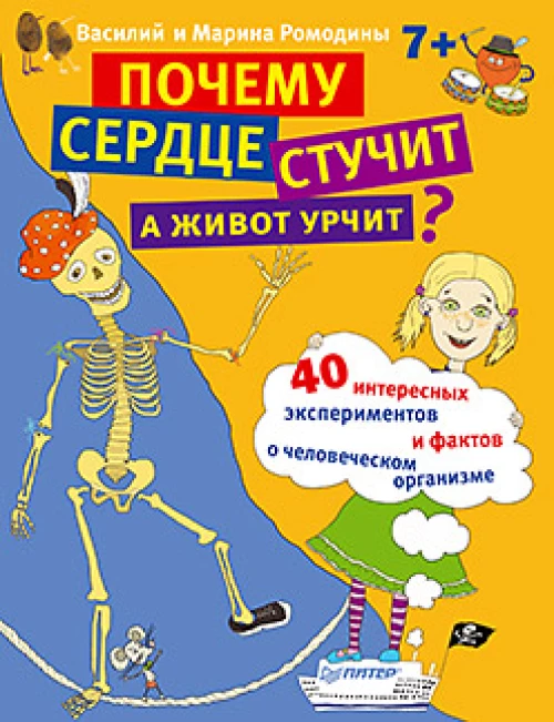 Почему сердце стучит,а живот урчит?