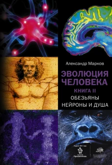 Эволюция человека. [В 2 кн.] Кн. 2. Обезьяны, нейроны и душа