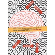 Как работает мозг