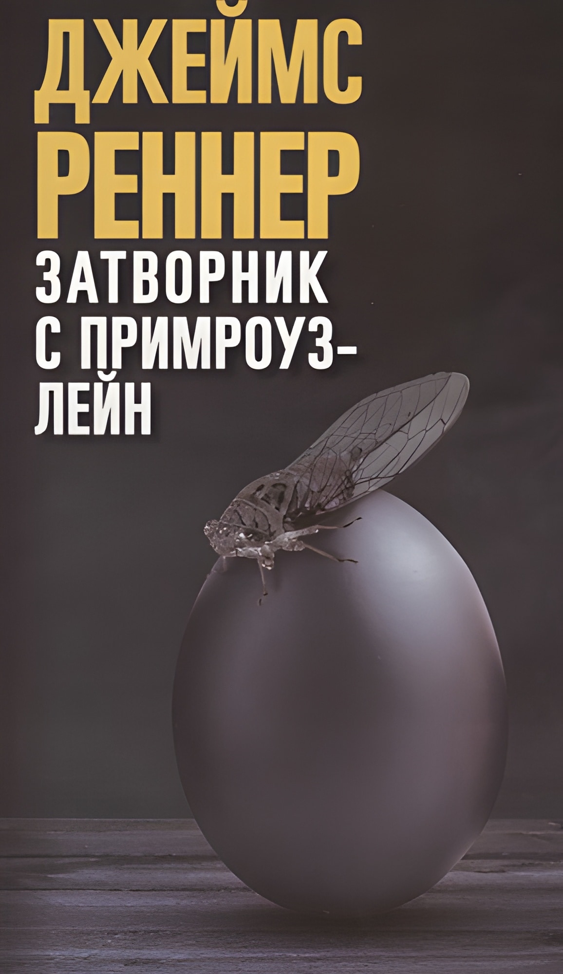 Затворник с Примроуз-лейн (КБС),авт. Реннер Д.