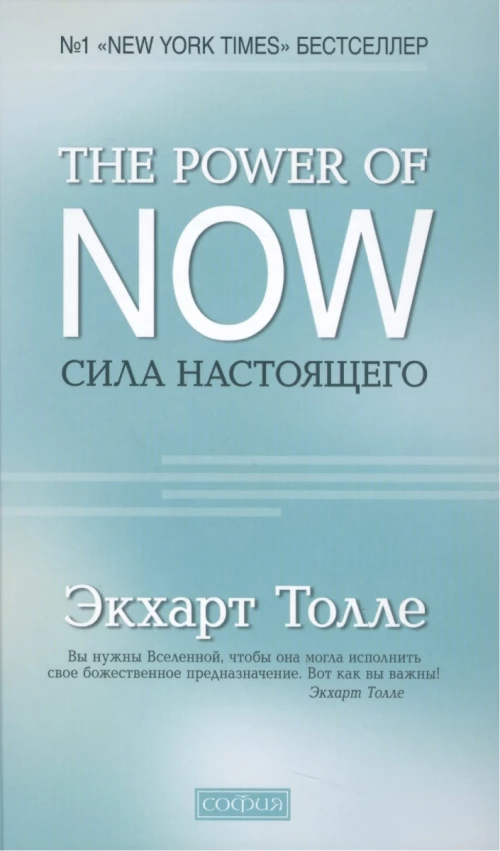 "The Power of Now".Сила Настоящего (тв.)
