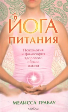 Йога питания. Психология и философия здорового образа жизни