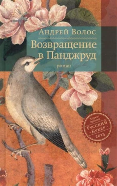 Возвращение в Панджруд