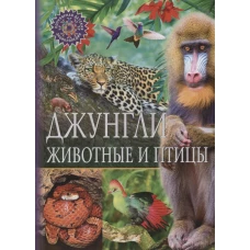 Джунгли. Животные и птицы